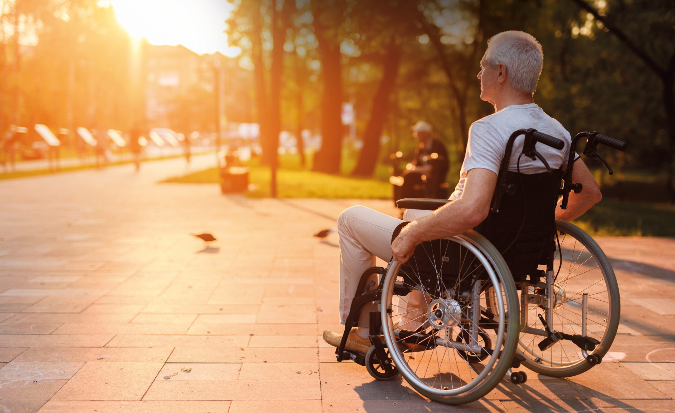 rörelsehindrad man i rullstol